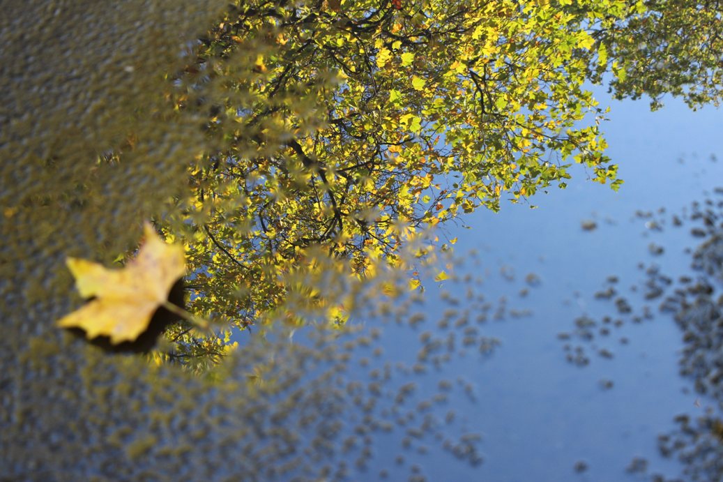 otoño saludable
