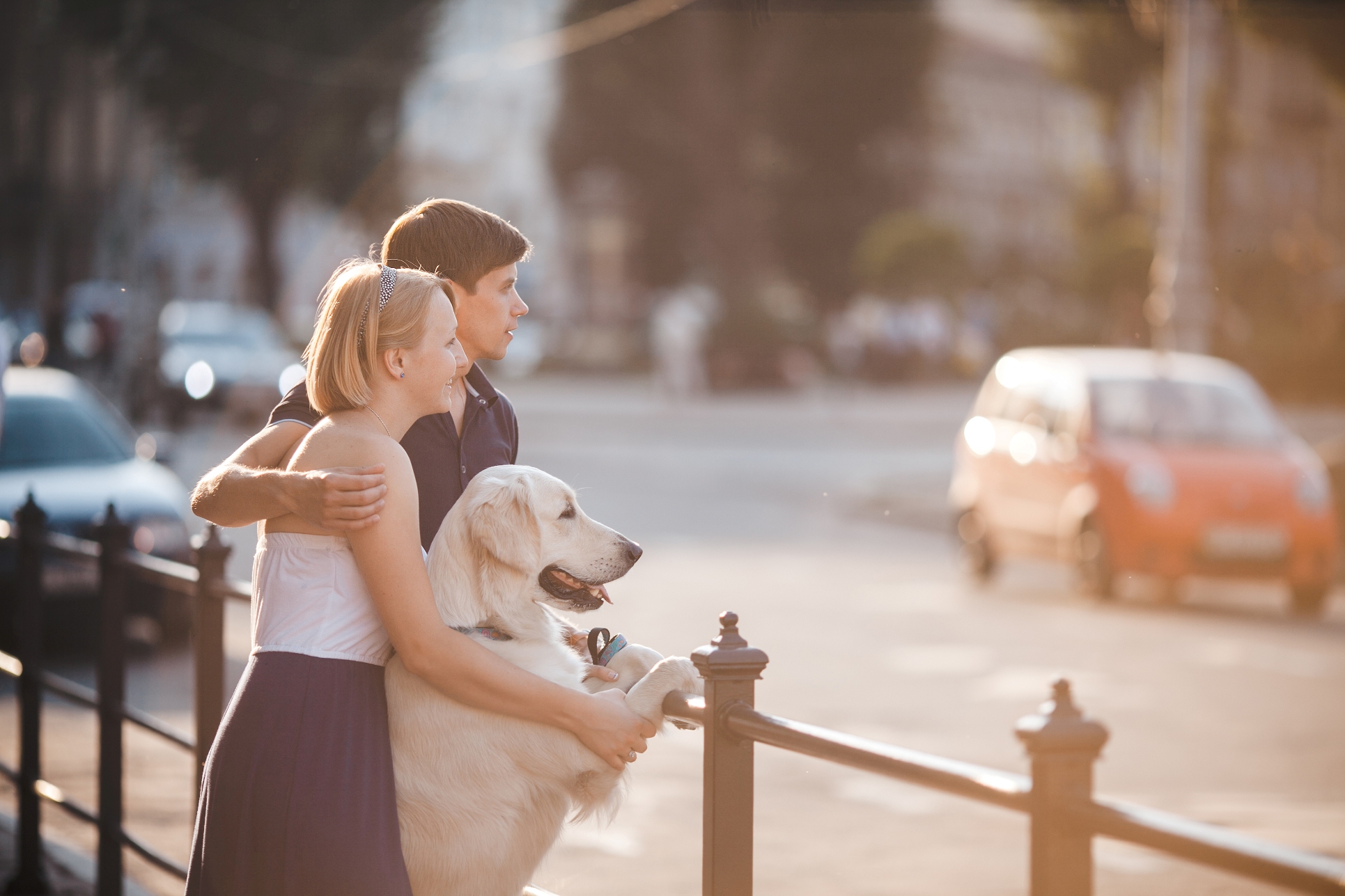 terapia con perros