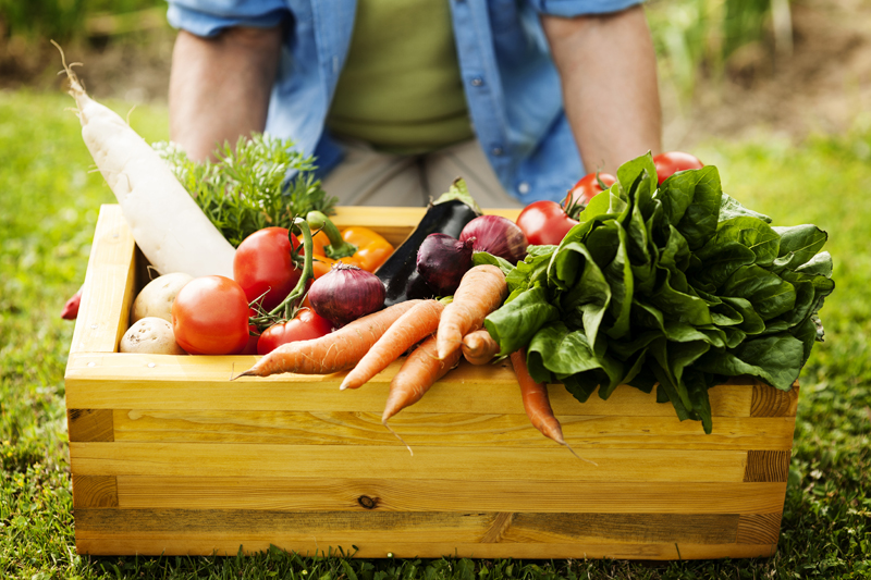 alimentación saludable