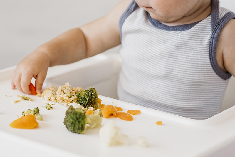 Baby Led Weaning, BLW