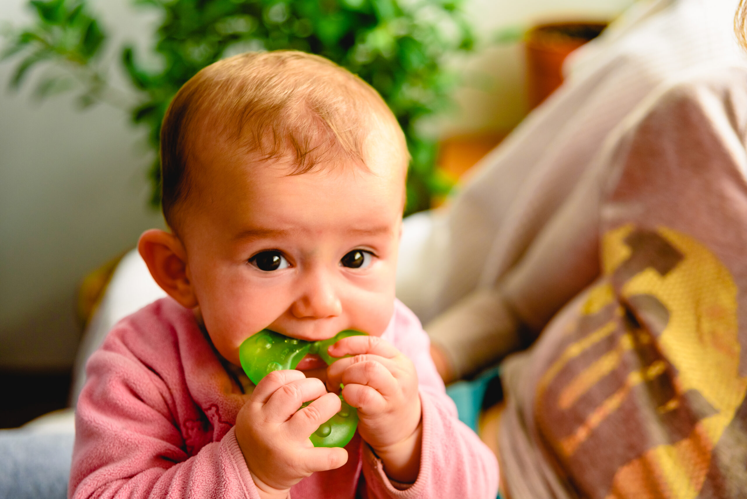 beautiful and friendly 6 month old baby girl teeth 2023 11 27 05 29 35 utc