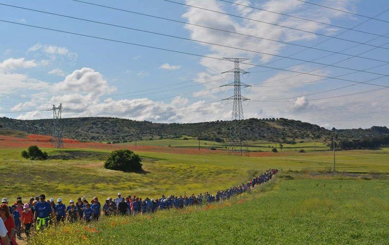 camino de cervantes