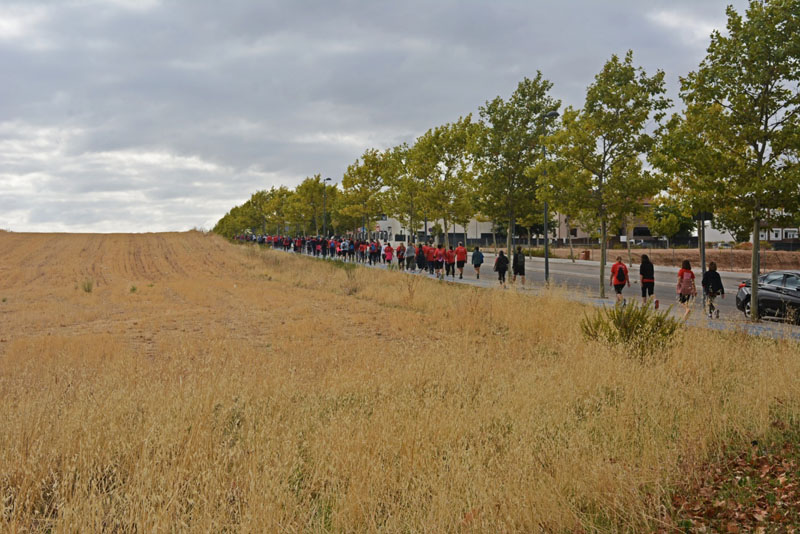 camino de cervantes