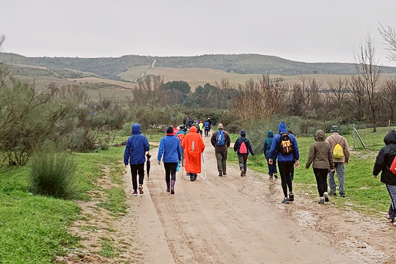 camino de cervantes