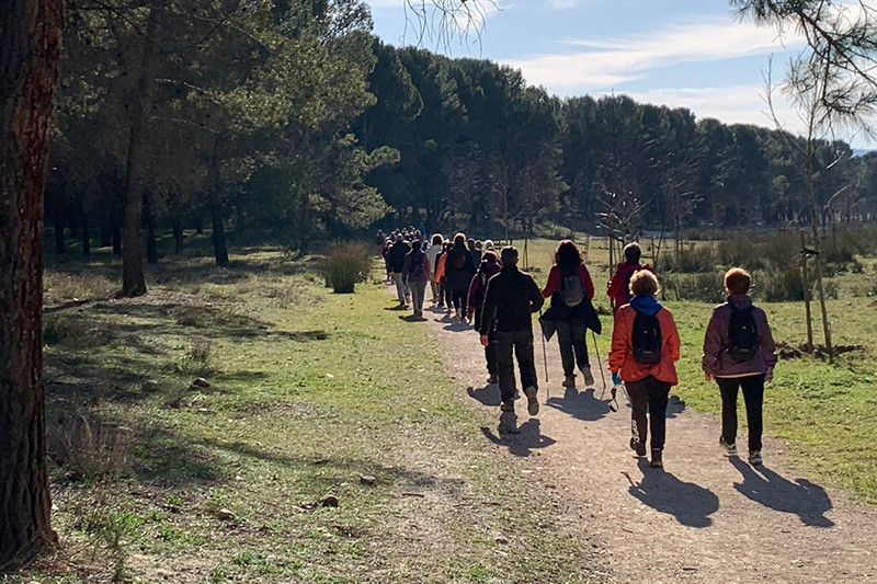 camino de cervantes