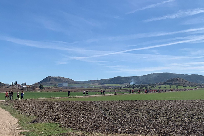 camino de cervantes