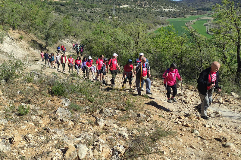 camino de cervantes