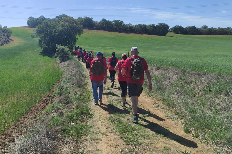 camino cervantes