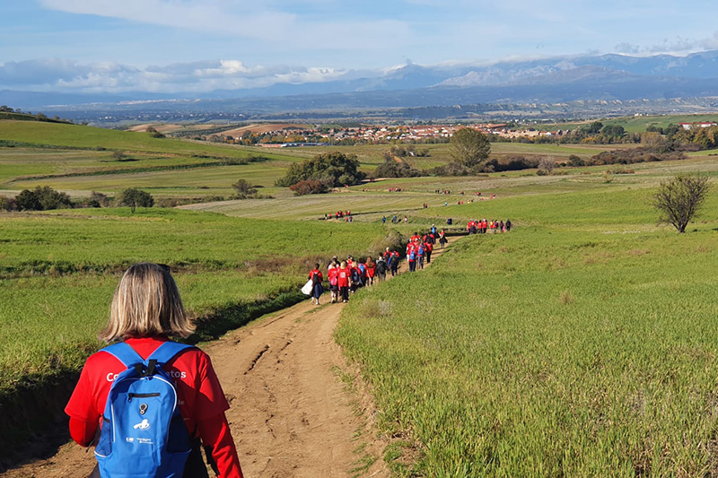 ruta camino de cervantes alalpardo