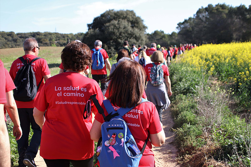 camino de cervantres