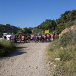 Proyecto Basuraleza