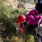 Proyecto Basuraleza