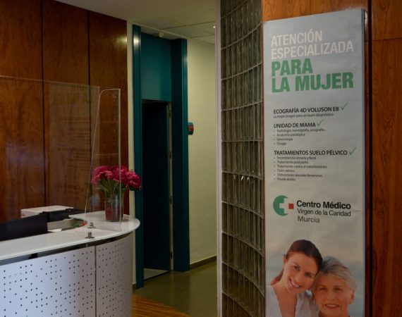 recepción